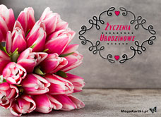 e-Kartka e Kartki z tagiem: Kartki urodziny online Życzenia i tulipany, kartki internetowe, pocztówki, pozdrowienia