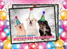 e-Kartka e Kartki z tagiem: Życzenia urodzinowe W dniu Twojego święta, kartki internetowe, pocztówki, pozdrowienia