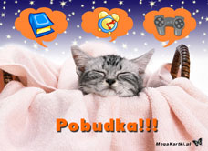 e-Kartka e Kartki z tagiem: e Kartki z kotem Pobudka, kartki internetowe, pocztówki, pozdrowienia
