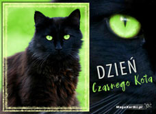 e-Kartka e Kartki z tagiem: Kartka z kotem Dzień Czarnego Kota, kartki internetowe, pocztówki, pozdrowienia