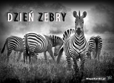 e-Kartka e Kartki z tagiem: Zebra Dzień Zebry, kartki internetowe, pocztówki, pozdrowienia