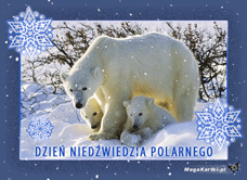 e-Kartka e Kartki z tagiem: e Pocztówki Dzień Niedźwiedzia Polarnego, kartki internetowe, pocztówki, pozdrowienia