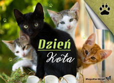 e-Kartka e Kartki z tagiem: Kartka z kotem Dzień Kota, kartki internetowe, pocztówki, pozdrowienia