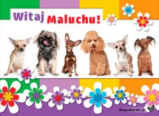 e-Kartka e Kartki z tagiem: Życzenia na Dzień Dziecka Witaj Maluchu!, kartki internetowe, pocztówki, pozdrowienia