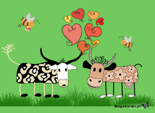 Zakochane krowy