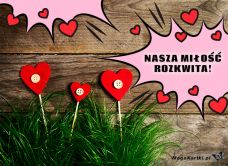 e-Kartka Darmowe e Kartki Miłość - Walentynki Nasza miłość rozkwita ..., kartki internetowe, pocztówki, pozdrowienia