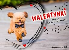 e-Kartka Darmowe e Kartki Miłość - Walentynki W dniu Walentynek, kartki internetowe, pocztówki, pozdrowienia