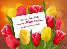 eKartki Dzień Matki Przyjmij Mamo te tulipany, 