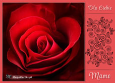 e-Kartka e Kartki z tagiem: e-Kartka Dzień Matki Róża dla Mamy, kartki internetowe, pocztówki, pozdrowienia