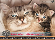 e-Kartka e Kartki z tagiem: Kartka Dzień Matki Dla najlepszej Mamy, kartki internetowe, pocztówki, pozdrowienia