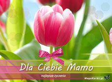 e-Kartka e Kartki z tagiem: Kartka Dzień Matki Tulipan dla Mamy, kartki internetowe, pocztówki, pozdrowienia