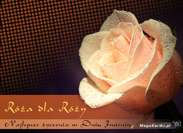 Róża dla Róży