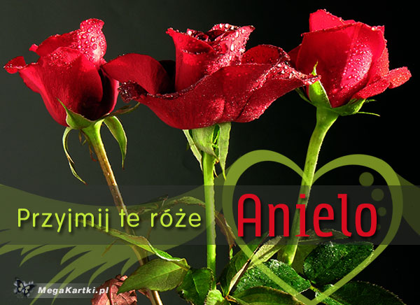 Róże dla Anieli