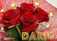 e-Kartka  Z okazji imienin Darii, kartki internetowe, pocztówki, pozdrowienia