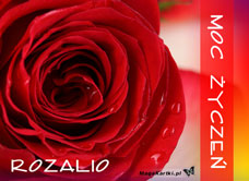 e-Kartka e Kartki z tagiem: Dla Rozalii Imieninowa róża, kartki internetowe, pocztówki, pozdrowienia