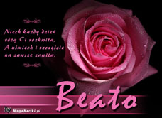 e-Kartka e Kartki z tagiem: Beatka Róża dla Beaty, kartki internetowe, pocztówki, pozdrowienia
