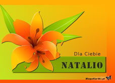 e-Kartka e Kartki z tagiem: Natalka Dla Ciebie Natalio, kartki internetowe, pocztówki, pozdrowienia