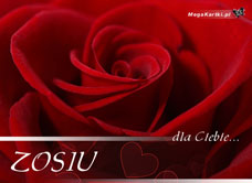 e-Kartka e Kartki z tagiem: Dla Zofi Róża dla Zosi, kartki internetowe, pocztówki, pozdrowienia