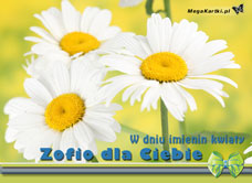 eKartki Imienne damskie Kwiaty dla Zofii, 