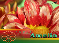 e-Kartka e Kartki z tagiem: Amelia Moc życzeń Amelio, kartki internetowe, pocztówki, pozdrowienia