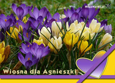 e-Kartka e Kartki z tagiem: Solenizant Wiosna dla Agnieszki, kartki internetowe, pocztówki, pozdrowienia