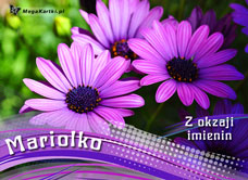 e-Kartka e Kartki z tagiem: Kartka imieninowa e-Kartka dla Mariolki, kartki internetowe, pocztówki, pozdrowienia