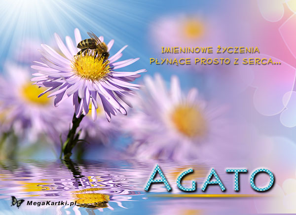 Kwiatek dla Agaty