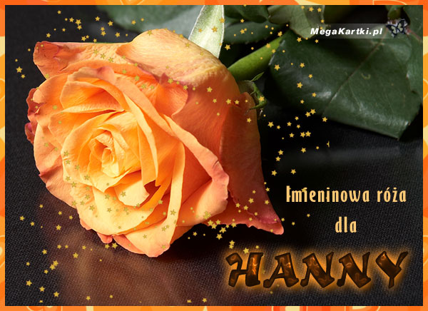 Róża dla Hanny