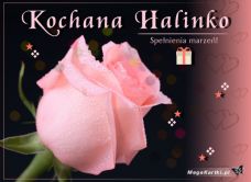 e-Kartka e Kartki z tagiem: e-Kartki imieninowe Kartka dla Halinki, kartki internetowe, pocztówki, pozdrowienia