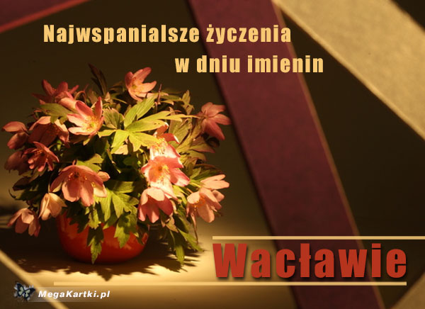 Imieniny Wacława