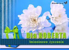 e-Kartka e Kartki z tagiem: Robert Robercie dla Ciebie, kartki internetowe, pocztówki, pozdrowienia