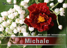 eKartki Imienne męskie Kwiaty dla Michała, 