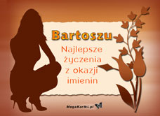 e-Kartka e Kartki z tagiem: Solenizant Dla Bartosza, kartki internetowe, pocztówki, pozdrowienia