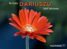 e-Kartka e Kartki z tagiem: Dla Dariusza Darku dla Ciebie, kartki internetowe, pocztówki, pozdrowienia