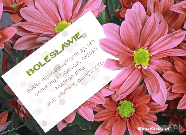 Kwiaty dla Bolesława