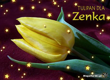 eKartki Imienne męskie Tulipan dla Zenka, 