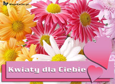 e-Kartka e Kartki z tagiem: e-Kartki z kwiatami darmo Kwiaty dla Ciebie, kartki internetowe, pocztówki, pozdrowienia