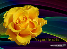 e-Kartka e Kartki z tagiem: Kartka kwiaty Przyjmij tę różę, kartki internetowe, pocztówki, pozdrowienia
