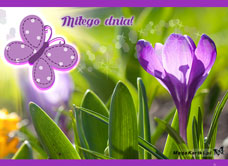 e-Kartka e Kartki z tagiem: e-Kartki kwiaty Wiosenny kwiatuszek, kartki internetowe, pocztówki, pozdrowienia