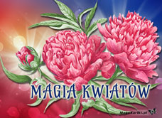 e-Kartka e Kartki z tagiem: Darmowe kartki kwiaty Magia kwiatów, kartki internetowe, pocztówki, pozdrowienia