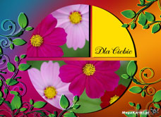 e-Kartka e Kartki z tagiem: e-Kartki z kwiatami online Kolorowe kwiaty, kartki internetowe, pocztówki, pozdrowienia