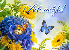 e-Kartka e Kartki z tagiem: Darmowe kartki kwiaty Ach motyle, kartki internetowe, pocztówki, pozdrowienia