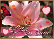 e-Kartka e Kartki z tagiem: e-Kartki z kwiatami darmo Lilia dla Ciebie, kartki internetowe, pocztówki, pozdrowienia