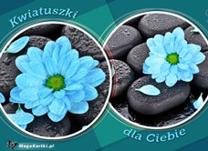 e-Kartka e Kartki z tagiem: e-Kartki kwiaty darmo Kwiatuszki dla dziewczyny, kartki internetowe, pocztówki, pozdrowienia