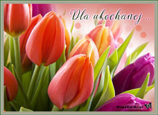e-Kartka e Kartki z tagiem: Kartka kwiaty Dla ukochanej, kartki internetowe, pocztówki, pozdrowienia