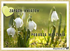 e-Kartka e Kartki z tagiem: Kartki z kwiatami online Zapach kwiatów, kartki internetowe, pocztówki, pozdrowienia