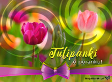 e-Kartka e Kartki z tagiem: Bukiet kwiatów Tulipanki o poranku, kartki internetowe, pocztówki, pozdrowienia