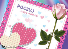 e-Kartka e Kartki z tagiem: Darmowe kartki kwiaty Poczuj moją miłość, kartki internetowe, pocztówki, pozdrowienia