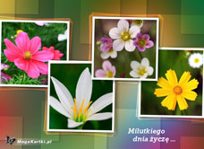 e-Kartka e Kartki z tagiem: Darmowe e-kartki kwiaty Milutkiego dnia, kartki internetowe, pocztówki, pozdrowienia