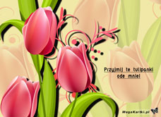 e-Kartka e Kartki z tagiem: Życzenia imieninowe Tulipanki dla Ciebie, kartki internetowe, pocztówki, pozdrowienia